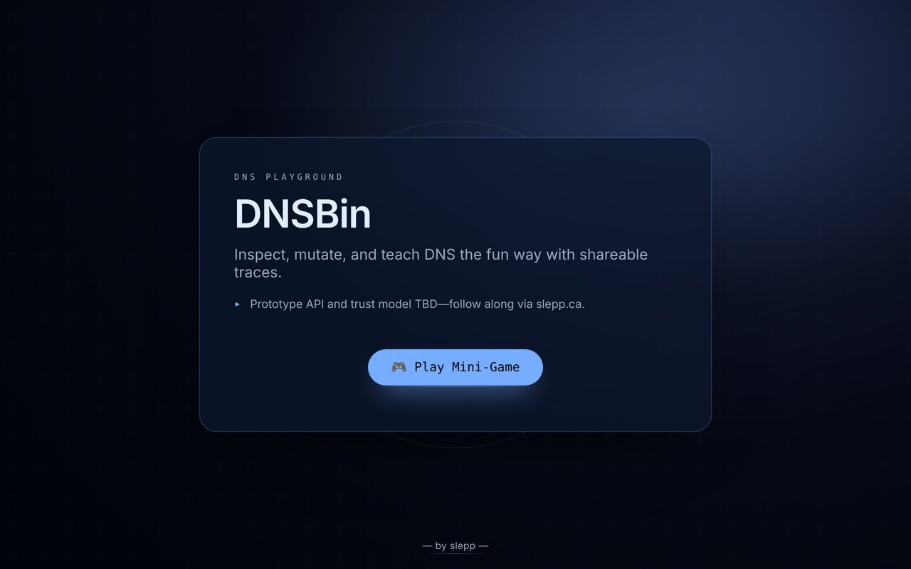 Screenshot of DNSBin